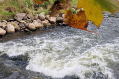 tresci_pomorski_bialo-czerowny_spyw_kajakowy_13 tresci_pomorski_bialo-czerowny_spyw_kajakowy_13