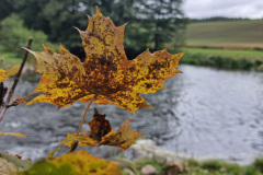 tresci_pomorski_bialo-czerowny_spyw_kajakowy_14 tresci_pomorski_bialo-czerowny_spyw_kajakowy_14