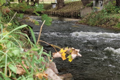 tresci_pomorski_bialo-czerowny_spyw_kajakowy_15 tresci_pomorski_bialo-czerowny_spyw_kajakowy_15