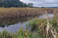 tresci_pomorski_bialo-czerowny_spyw_kajakowy_2 tresci_pomorski_bialo-czerowny_spyw_kajakowy_2