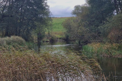 tresci_pomorski_bialo-czerowny_spyw_kajakowy_3 tresci_pomorski_bialo-czerowny_spyw_kajakowy_3