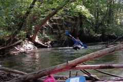 IMG-20251010-WA0002
