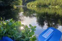 IMG-20251010-WA0012